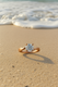 Aeris Solitaire Ring